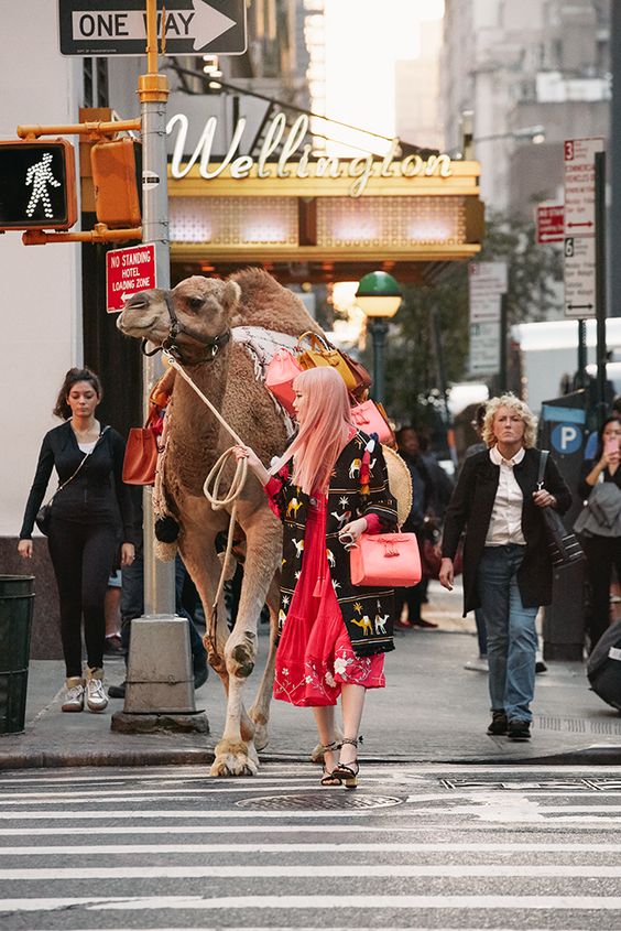 Kate spade New York - Morocco
